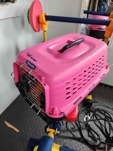 Photo of free Small cat carrier (Aberdeen) #1