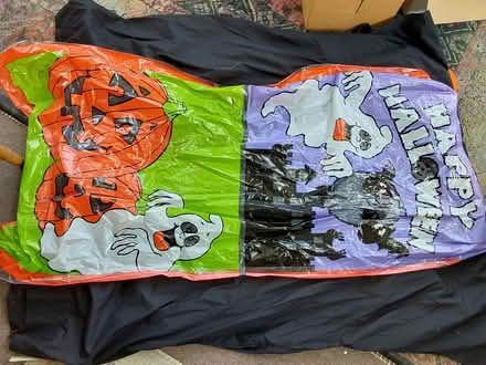 Photo of free Adult Halloween costume (Bloor/West Mall) #2