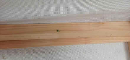 Photo of free 10x8 timber garden shed (Raheny) #2