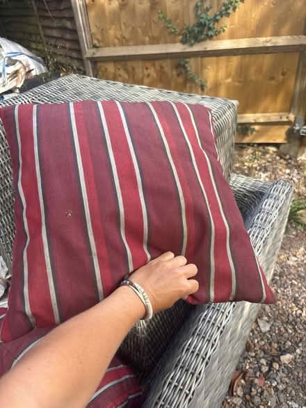 Photo of free Red garden cushions (Cranleigh) #2