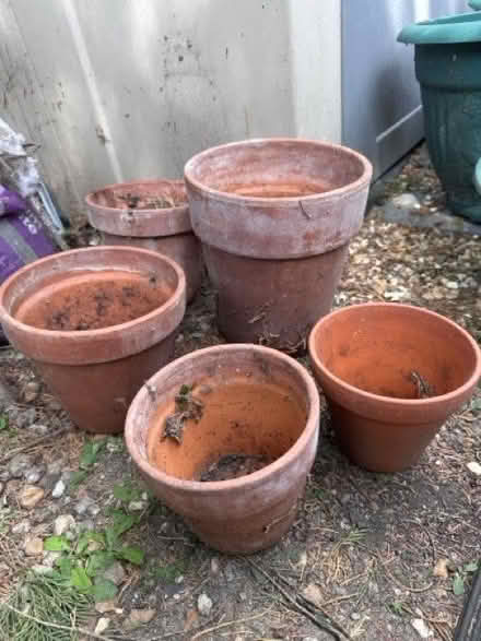 Photo of free Terracotta clay small pots (5) (South Croydon CR0) #1