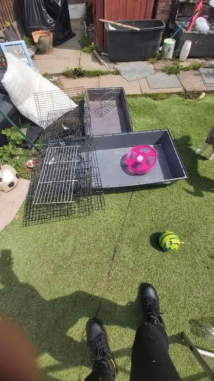 Photo of free 2 pet cages, (Leegomery TF1) #2