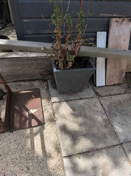 Photo of free Pots (PO19) #3