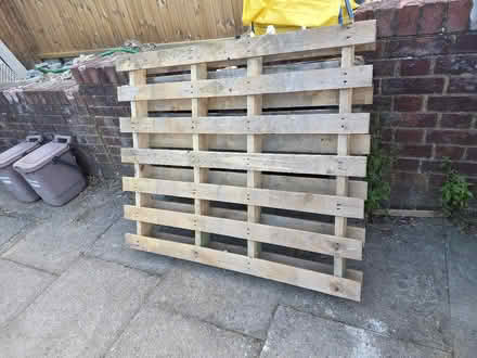 Photo of free 2 wooden pallets (North Finchley N12) #1