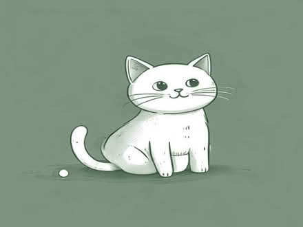 Photo of free Cat toys (Birch Green WR8) #1