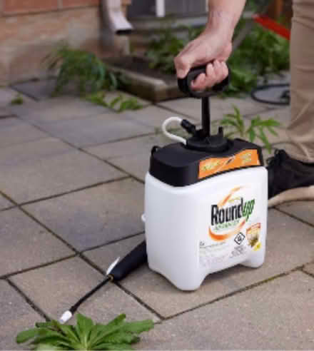 Photo of EMPTY electric or pump sprayer (West Mississauga) #2