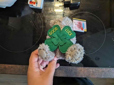Photo of free Small "Good Luck" Bear (Frizinghall BD18) #1