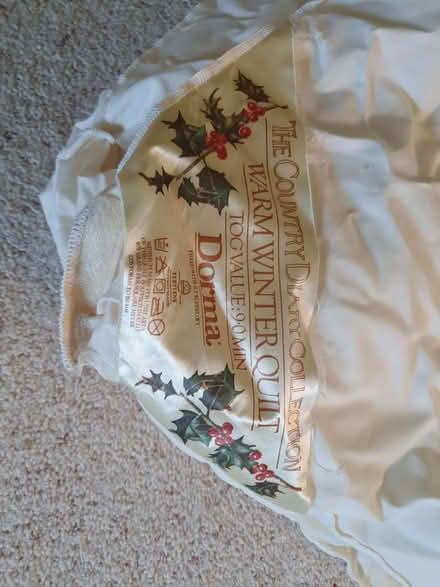 Photo of free Single duvet quilt (Barkham RG41) #1