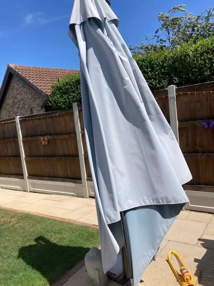 Photo of free Green Hatfield’s Parasol (Parson's Heath CO4) #1