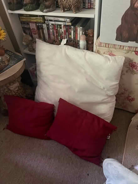 Photo of free Cushions (Skerton LA1) #1