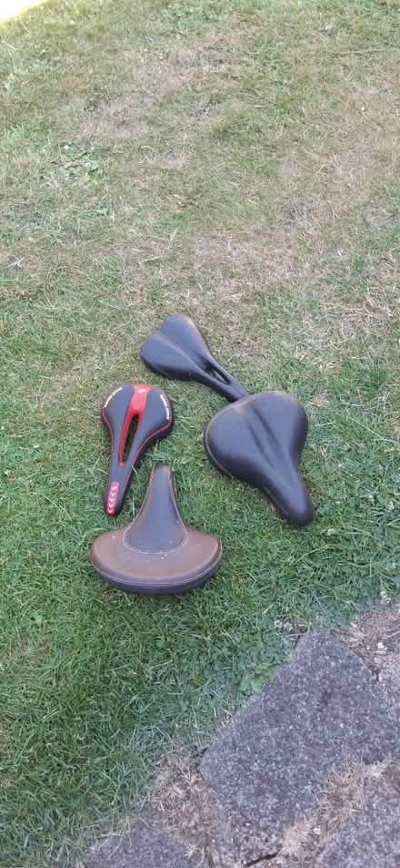 Photo of free Selection of saddles (Isleworth TW7) #1