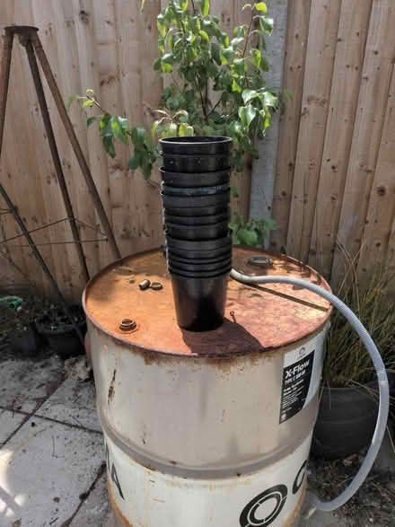Photo of free Pots (PO19) #1