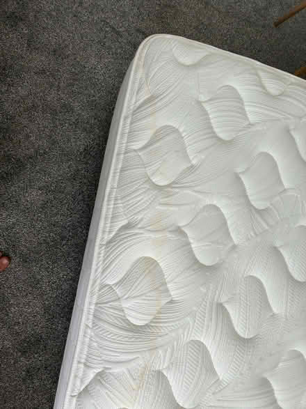 Photo of free Sealy Extra Firm Double Mattress (Potters Bar EN6) #3
