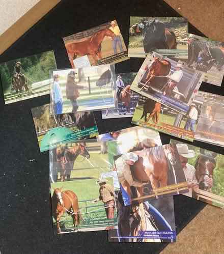 Photo of free Pat Parelli Savvy Club dvd’s (Howey LD1) #2