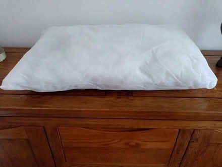 Photo of free New Dunelm cushion insert (Pimlico, SW1) #2