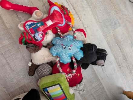 Photo of free Dog toys (Stenson Fields Derby) #3