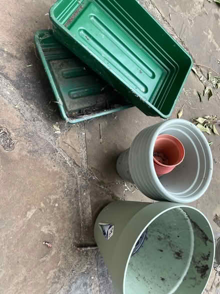 Photo of free Gardening pots and trays (Greenwich SE10) #1