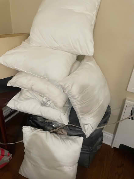 Photo of free Throw pillows (Nyack) #1