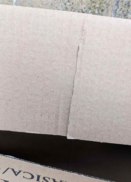 Photo of free Cardboard Guitar Box. (Lipson PL4) #4