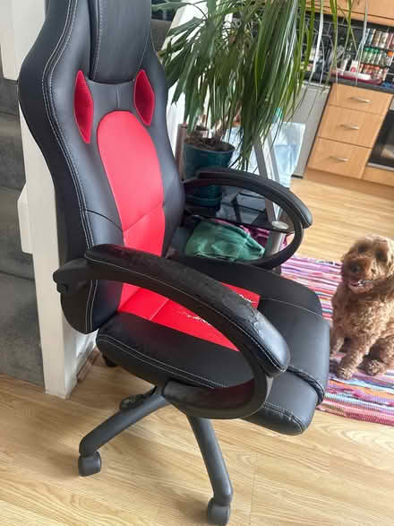 Photo of free Gaming/office chair (Cardiff CF23) #3