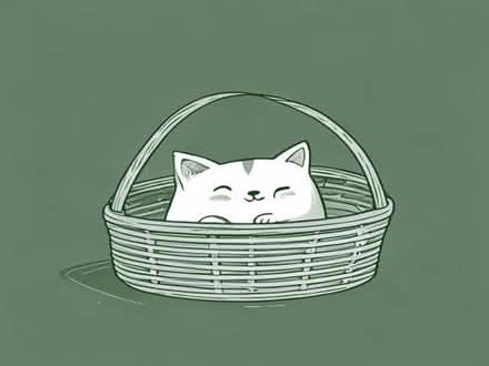 Photo of free Cat wicker basket bed / house (Waterlooville PO7) #1