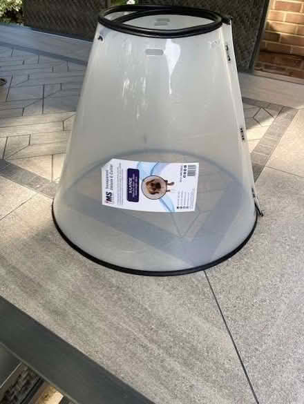 Photo of free Cone of shame (Farnborough Park GU14) #1