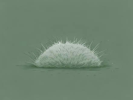 Photo of Piece of fake grass (City of Bristol BS4) #1