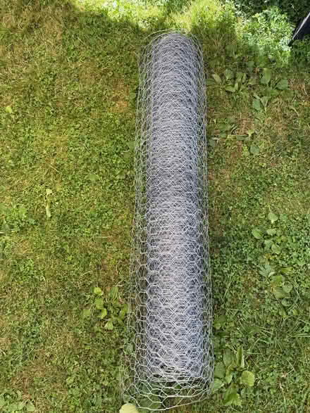 Photo of free Chicken wire (Lingen SY7) #1