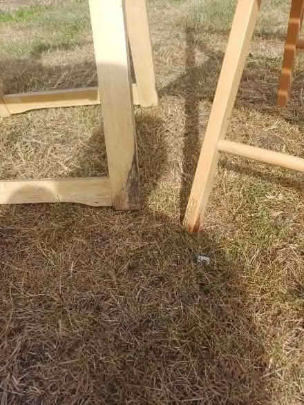 Photo of free Three folding chairs (Woodcote SM5) #2