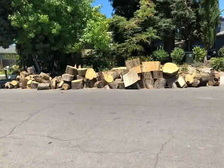 Photo of free Modesto Ash Fire Wood (703 Flint Way, Sacto, 95818) #1