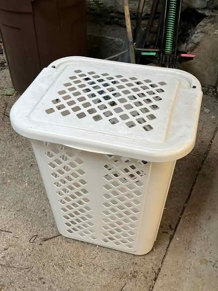 Photo of free laundry hamper (East Watertown) #1