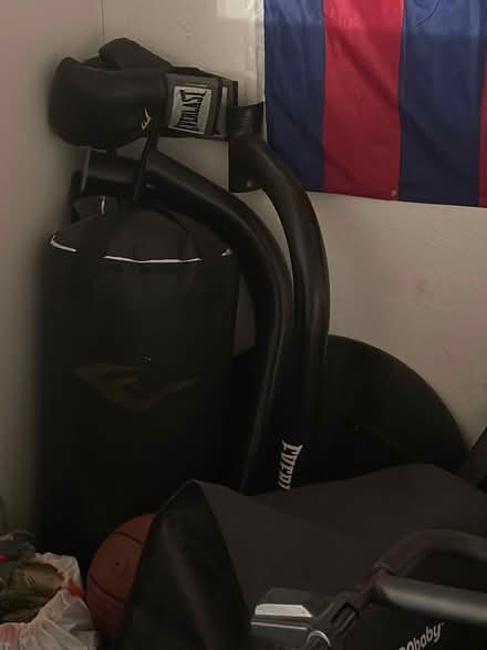 Photo of free Boxing bag with gloves (Tierra Linda Community) #1