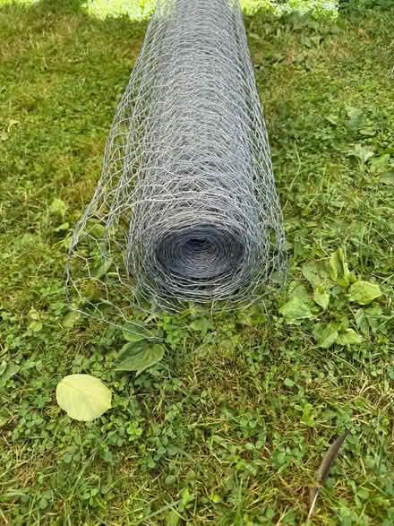 Photo of free Chicken wire (Lingen SY7) #2
