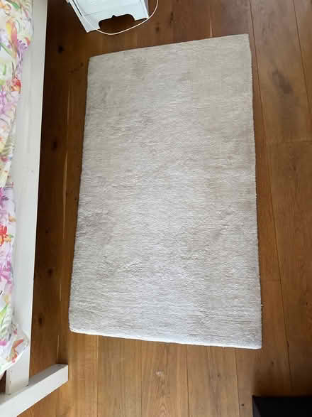 Photo of free Small rug (W12) #1