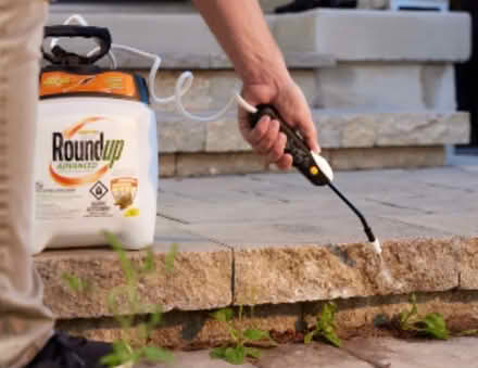 Photo of EMPTY electric or pump sprayer (West Mississauga) #3