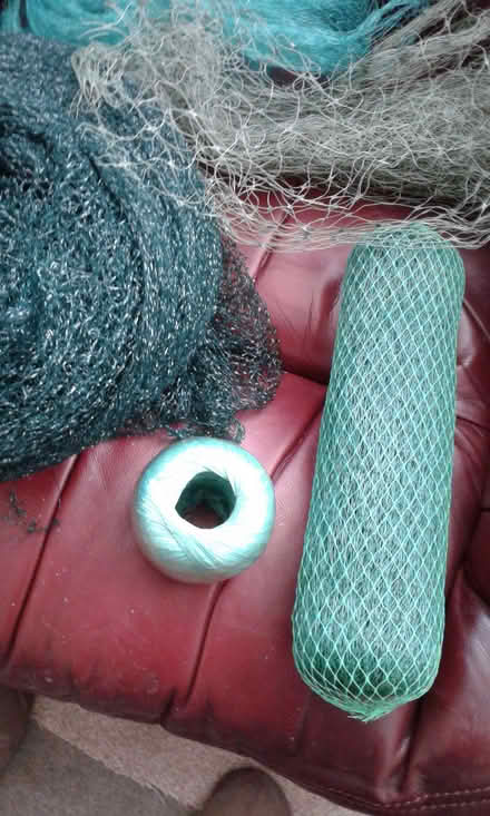 Photo of free Garden netting (St Blazey Gate PL24) #1