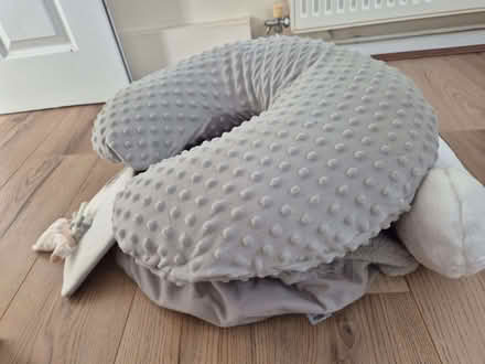 Photo of free Baby feeding pillows (Bexleyheath DA7) #1