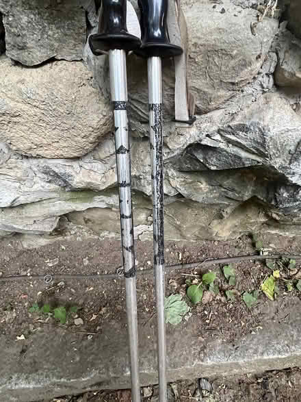 Photo of free Set of ski poles (East Watertown) #1