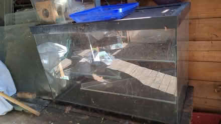 Photo of free Glass Terrerium (Enfield EN1) #1