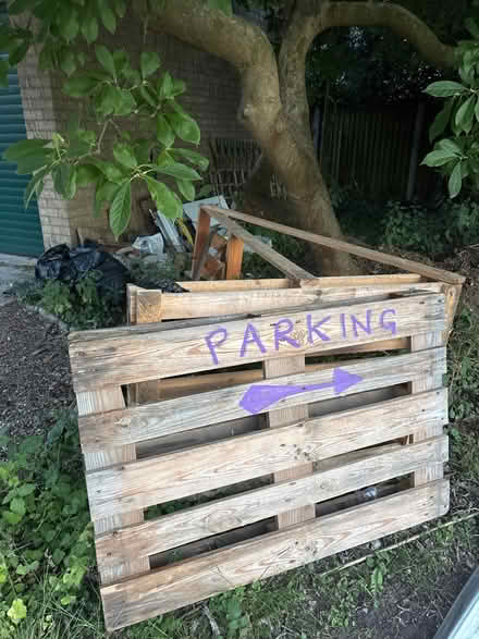Photo of free Pallets (various sizes) (Shotesham) #1