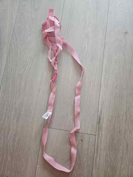 Photo of free Pink Harness (Hall green B28) #2