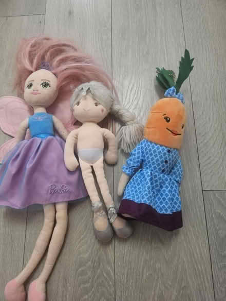 Photo of free Kids dolls (Hall green B28) #3