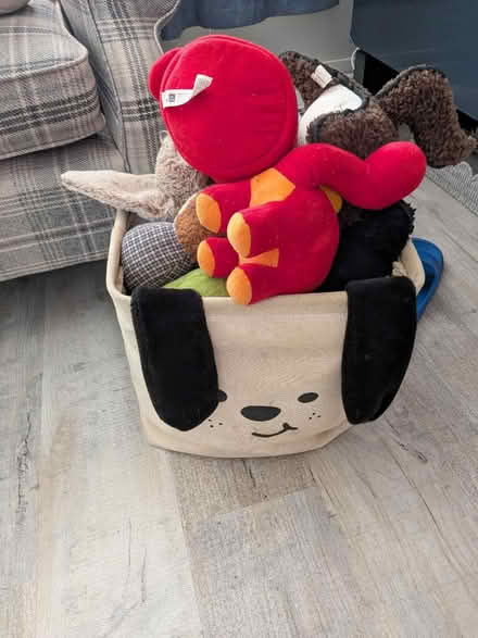 Photo of free Dog toys (Stenson Fields Derby) #4
