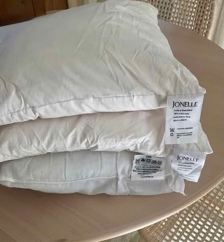 Photo of free Cushions (Stroud GL5) #1