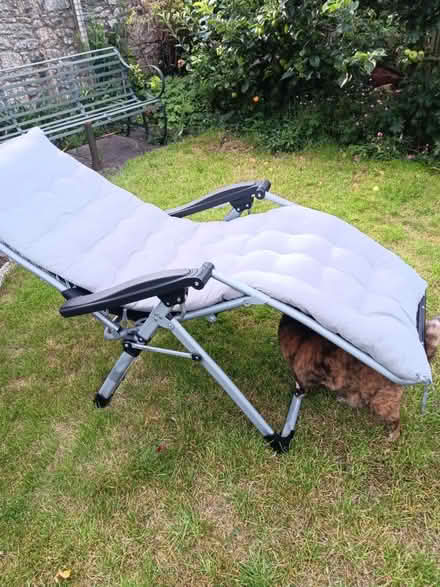 Photo of free Garden chair (Rathmines/Ranelagh) #2