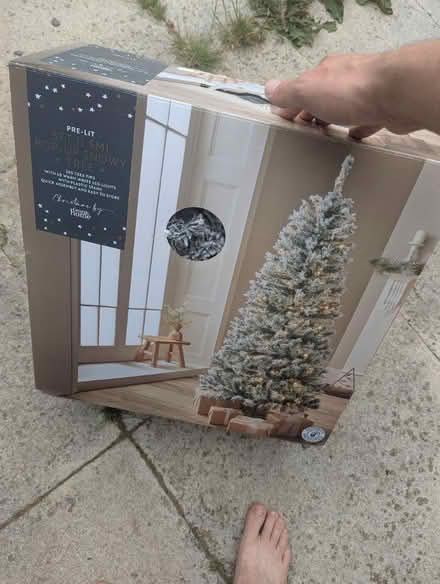 Photo of free Christmas Tree in Box (CV3) #1