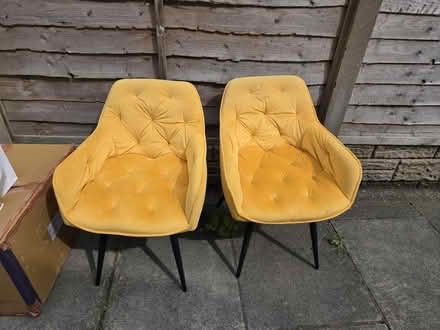 Photo of free 2 yellow dining chairs (Burtonwood) #1