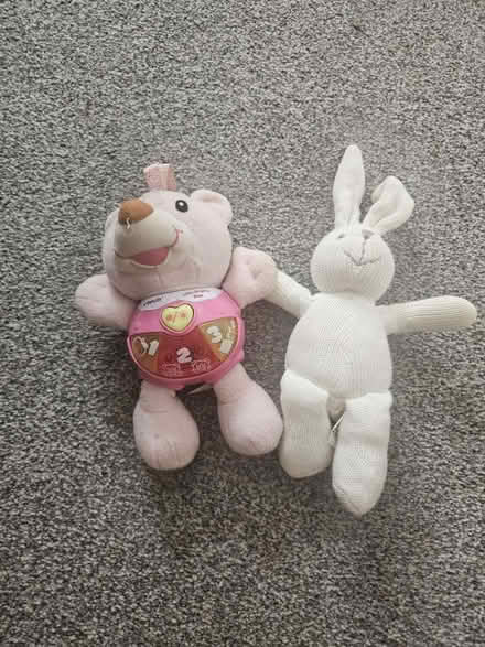 Photo of free Kids vtech/ rattle bunny (Hall green B28) #2