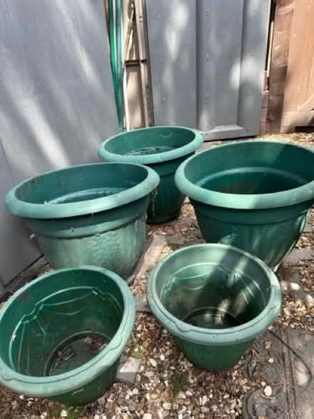 Photo of free 3 large plastic pots large and 2 medium (South Croydon CR0) #1