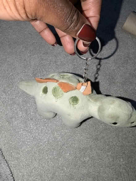 Photo of free Key chains (Chatterley Parkway NG8) #3